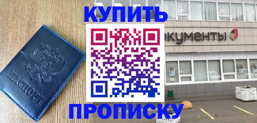 временная регистрация поиск в Курской области